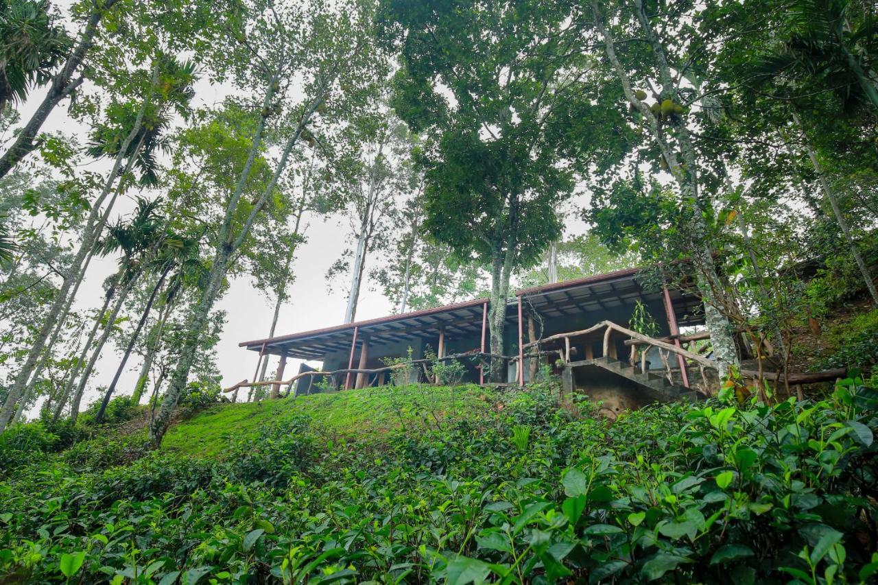 The Spice Lodge 엘라 외부 사진
